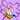 AxolotlWorks