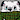 BoneScruff