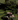thelonewolffft2