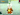 JesseKoopa