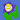 Joetheflower