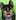 ToxicFoxboi