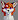 shadowXfox