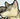 thedesertwolf