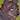 brathor