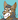 MrCoyote