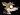 TehJackal