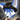 thefoxdoc