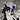 DuncanSkunk