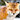 FluffyKitsune