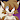 randomfox