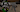 JakobFaux