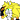 GoldictheHedgefox
