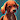dogy2