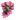 damnwinxsonicfan