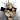 Shorple1