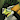 TheNomadicDragon