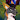 FinTheFox