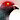 DemonicPigeon