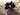 BlackLotus7