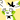 BaddiBunni