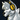 Artic1010