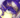 ZekuTheLapDragon