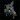septicemic