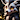 Elderwolfyena