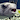 InflateResponsiblyIB