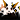RottenFox
