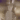 SillydogTheGreat