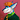 JayTheFox99