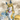 CypherStarsong