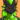 ChemicalDragon