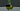 SurgeTheInflatedTenrec