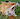 MordecaiFox84