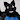 BanjoTheWolf2