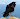 BlackRavenClaw