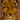Jasiri