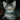 datcatty