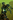 MrFrederik0909