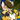 BARK