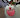 Tastyhotdog123