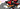 EclispetheHedgehog241