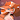 foxtea