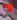 RenlyRabbit