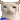 Xdddddddd23