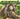biodaemon2