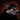 Bitterjackal